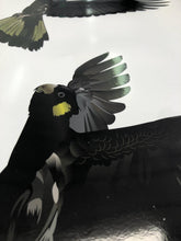 2 x Black Cockatoo yellow tail 350mm Sticker Decal for Car, Motorhome, Window, Truck, sign - Mega Sticker Store